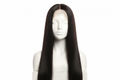 Middle Part 2x6 Closure Wig 24 Inch Human Blend